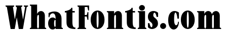 New Bight Black Condensed