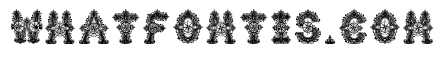 Nerion Regular