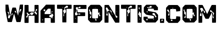 Mohsin Regular