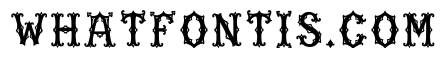 Mesta Regular