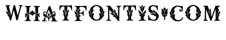 Major Regular