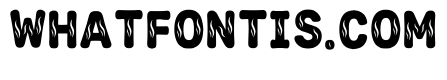 Liatris Regular
