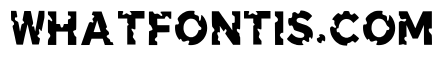 Lacey Regular