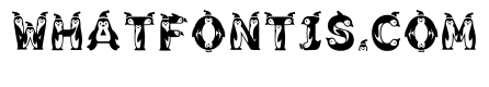 Izmir Regular