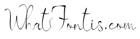 ZP Influential Condensed Light