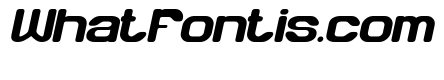 HUMAN LIFE Bold Italic