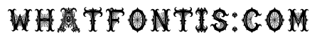Hexlor Regular