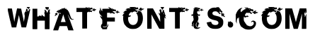 Hebe Regular