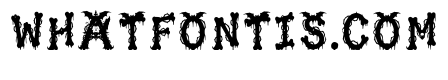 Glyceria Regular