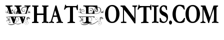 ZP Everfall Split Monogram