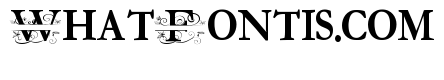 ZP Everfall Split Monogram Expanded
