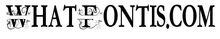 ZP Everfall Split Monogram Condensed