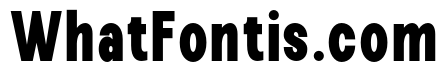 Epigraphy Condensed Black