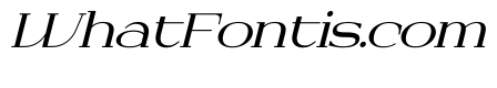Dyrenko Italic
