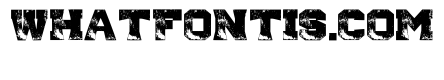 Dustmark Ravage Regular