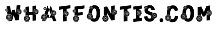 Dniester Regular