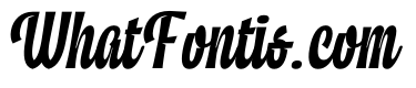 District Letters Script Italic