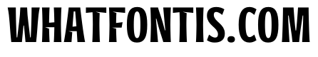District Letters Sans Regular