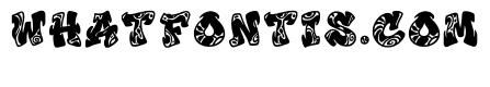 Derin Regular