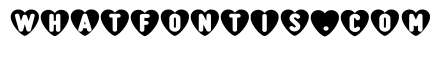 Cute Lovely Regular