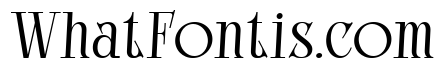 Bright Legacy Light Italic