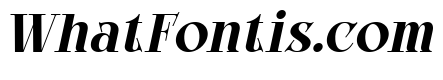 Bright Legacy Black Italic