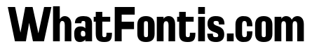 Braskion Black Condensed
