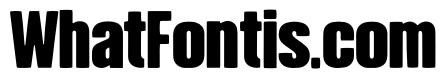 Bingorun