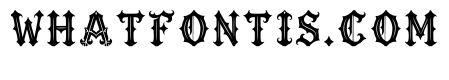 Bichir Regular