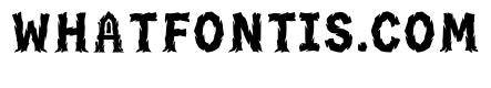 Bellis Regular