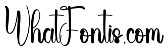 Beach Zelfarine
