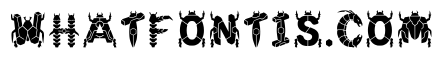 Bani Regular