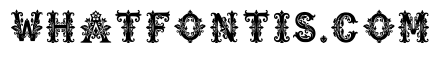 Avon Regular