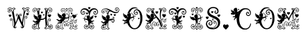 Aviron Regular