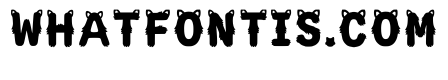 Avignon Regular