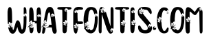 Autumn Whimsy Font 4