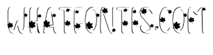 Autumn Whimsy Font 2