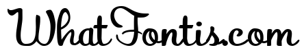 PN Autumn Groove Script Condensed Bold