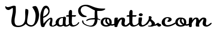 PN Autumn Groove Script Bold