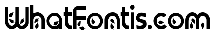 PN Autumn Groove Condensed