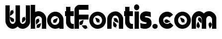 PN Autumn Groove Condensed Bold