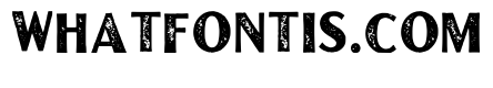 Artemisia Regular