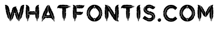 Anther Regular