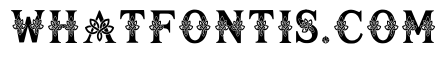 Alcmene Regular