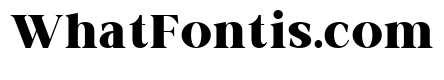 Actrist Stylish Black
