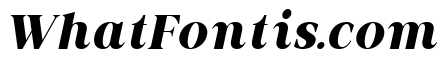 Actrist Stylish Black Italic