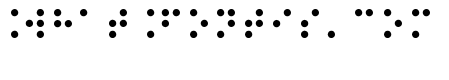 Braille Type