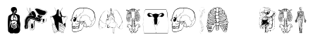 Human Body Parts