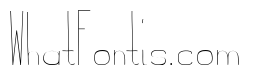 Ostrich Condensed Light