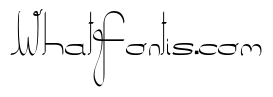 Salkin_elegant